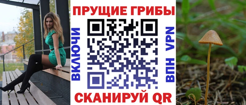 Псилоцибиновые грибы MAGIC MUSHROOMS  Наволоки 
